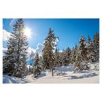 Nástenný kalendár 2026 Les