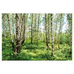 Nástenný kalendár 2026 Les