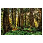 Nástenný kalendár 2026 Les