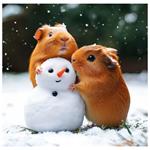 Nástenný kalendár 2026 - Little Fun