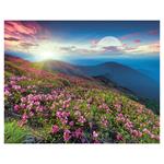 Nástenný kalendár 2026 - Lunárny