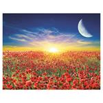 Nástenný kalendár 2026 - Lunárny