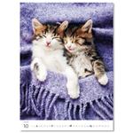 Nástenný kalendár 2026 - Mačičky