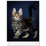 Nástenný kalendár 2026 - Mačičky