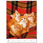 Nástenný kalendár 2026 - Mačičky