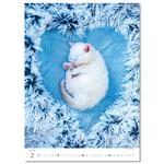 Nástenný kalendár 2026 - Mačičky