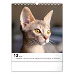 Nástenný kalendár 2026 Mačky