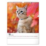 Nástenný kalendár 2026 Mačky