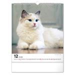 Nástenný kalendár 2026 Mačky