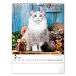 Nástenný kalendár 2026 Mačky