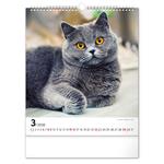 Nástenný kalendár 2026 Mačky