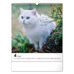 Nástenný kalendár 2026 Mačky