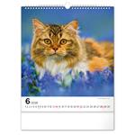 Nástenný kalendár 2026 Mačky