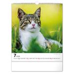 Nástenný kalendár 2026 Mačky