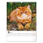 Nástenný kalendár 2026 Mačky