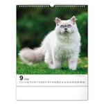 Nástenný kalendár 2026 Mačky