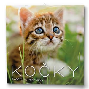 Nástenný kalendár 2026 Mačky