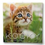 Nástenný kalendár 2026 Mačky