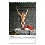 Nástenný kalendár 2026 Men Exclusive