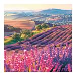 Nástenný kalendár 2026 - Motivačný