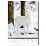 Nástenný kalendár 2026 - Myslivecký kalendář