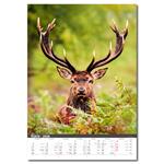 Nástenný kalendár 2026 - Myslivecký kalendář