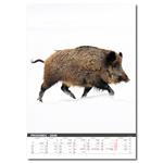 Nástenný kalendár 2026 - Myslivecký kalendář