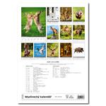 Nástenný kalendár 2026 - Myslivecký kalendář
