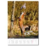 Nástenný kalendár 2026 - Myslivecký kalendář