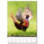 Nástenný kalendár 2026 - Myslivecký kalendář