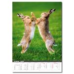 Nástenný kalendár 2026 - Myslivecký kalendář