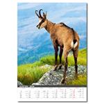 Nástenný kalendár 2026 - Myslivecký kalendář