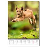 Nástenný kalendár 2026 - Myslivecký kalendář