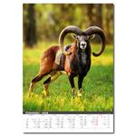 Nástenný kalendár 2026 - Myslivecký kalendář