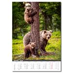 Nástenný kalendár 2026 - Myslivecký kalendář