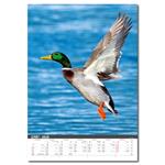 Nástenný kalendár 2026 - Myslivecký kalendář