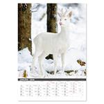 Nástenný kalendár 2026 - Na muške...