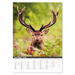 Nástenný kalendár 2026 - Na muške...