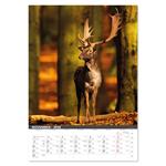 Nástenný kalendár 2026 - Na muške...