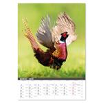 Nástenný kalendár 2026 - Na muške...