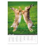 Nástenný kalendár 2026 - Na muške...