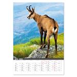 Nástenný kalendár 2026 - Na muške...