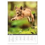 Nástenný kalendár 2026 - Na muške...