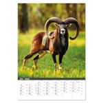 Nástenný kalendár 2026 - Na muške...