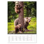 Nástenný kalendár 2026 - Na muške...