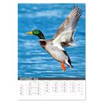 Nástenný kalendár 2026 - Na muške...