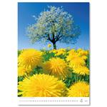 Nástenný kalendár 2026 - Nature Emotions