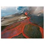 Nástenný kalendár 2026 - Nature