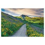 Nástenný kalendár 2026 - Nature