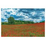 Nástenný kalendár 2026 - Nature